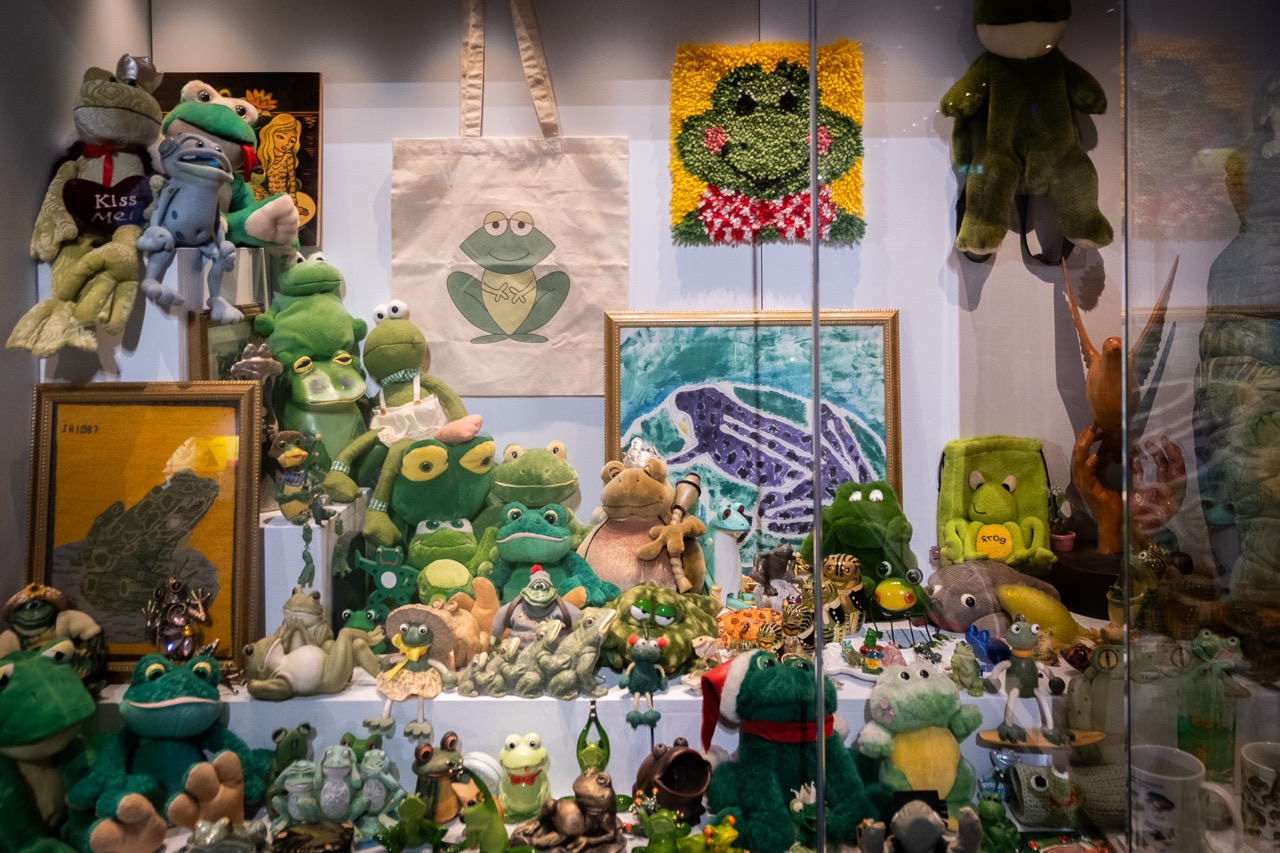 A display case filled with various frog-themed items, including soft toys, figurines, tote bags, framed art, and other collectables, all featuring different styles and shades of green frogs.