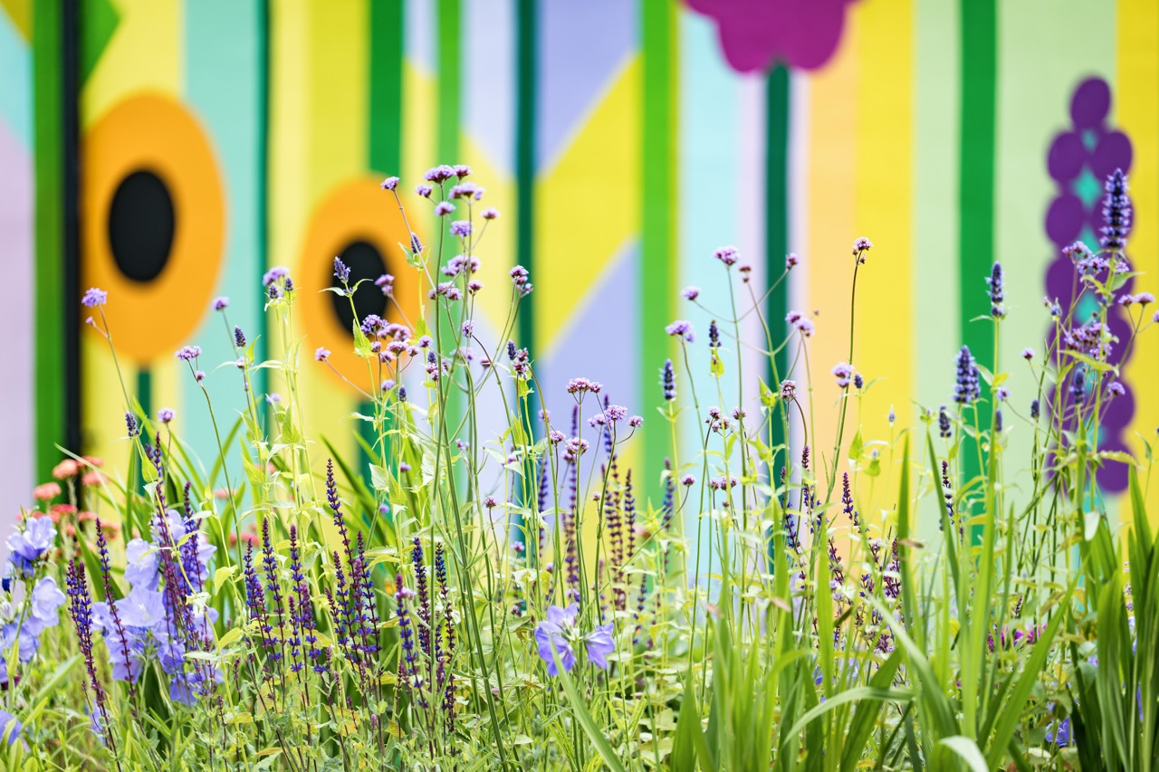 Tall wildflowers and green grass grow in the foreground, with a colourful mural of abstract shapes, stripes, and dots in bright yellow, green, purple, and orange on a wall in the background.