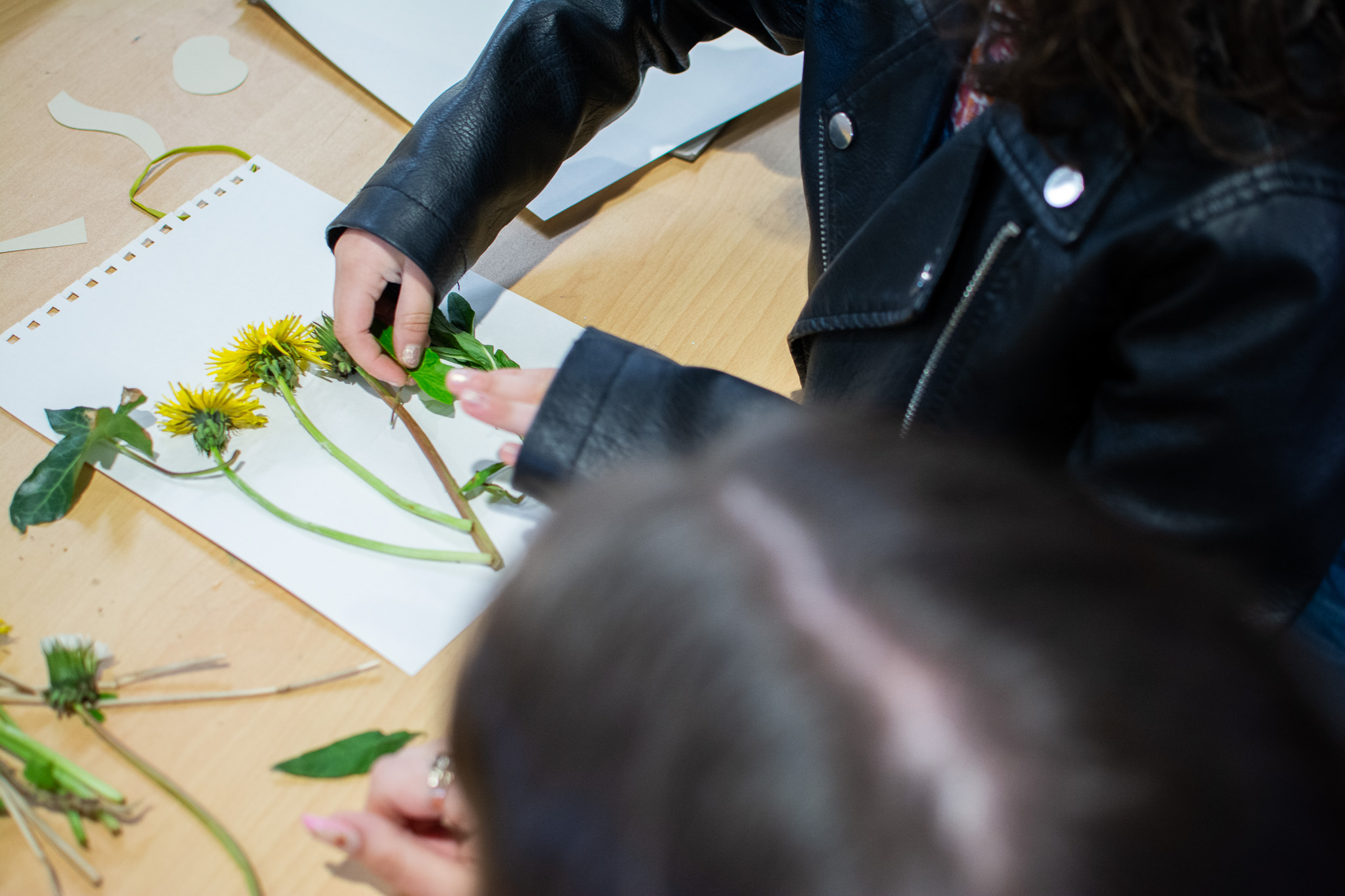 Two people in leather jackets arrange yellow dandelions on paper at a wooden table.