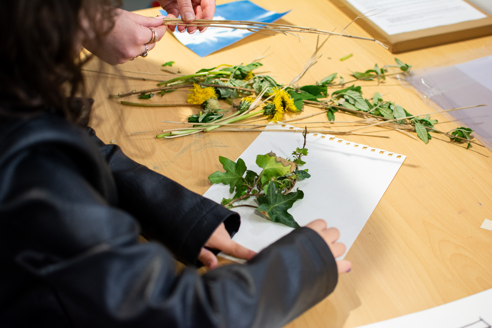 Hands arranging leaves and flowers on paper at a wooden table.
