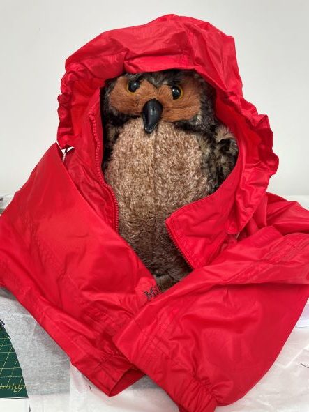 A plush owl is sitting upright inside a bright red jacket with the hood pulled up around its head. The jacket is spread open on a flat surface, and the owl appears to be bundled up warmly.