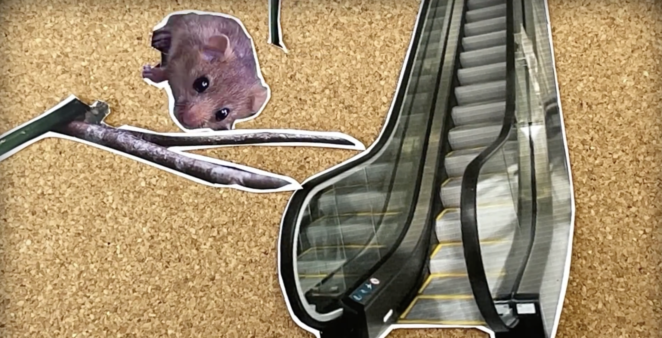 Corkboard collage with a photo of a mouse on a branch and an escalator.