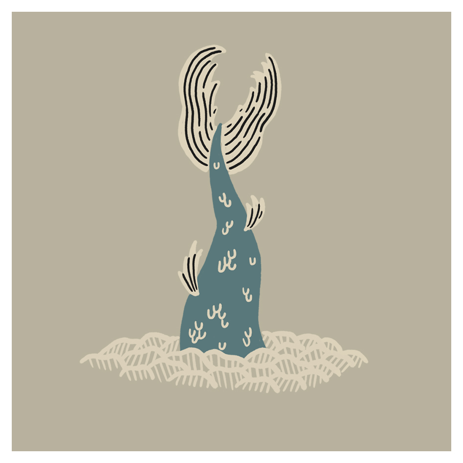 A stylised illustration of a blue fish tail with beige accents emerging from wavy beige water on a taupe background.