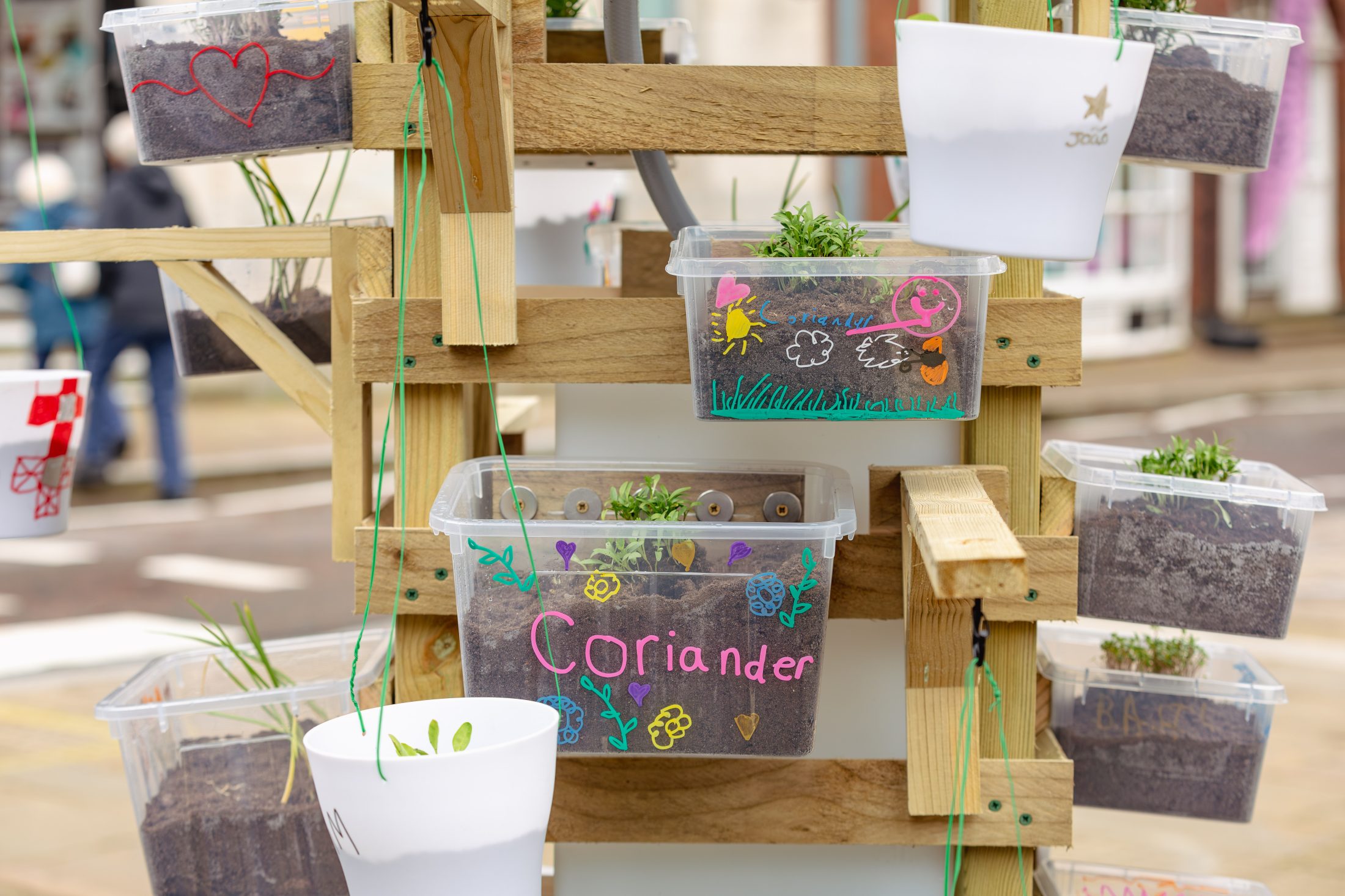 Several plastic containers with soil and young plants, including one labelled “Coriander,” are attached to a wooden structure outdoors. Some containers are decorated with colourful drawings and patterns.