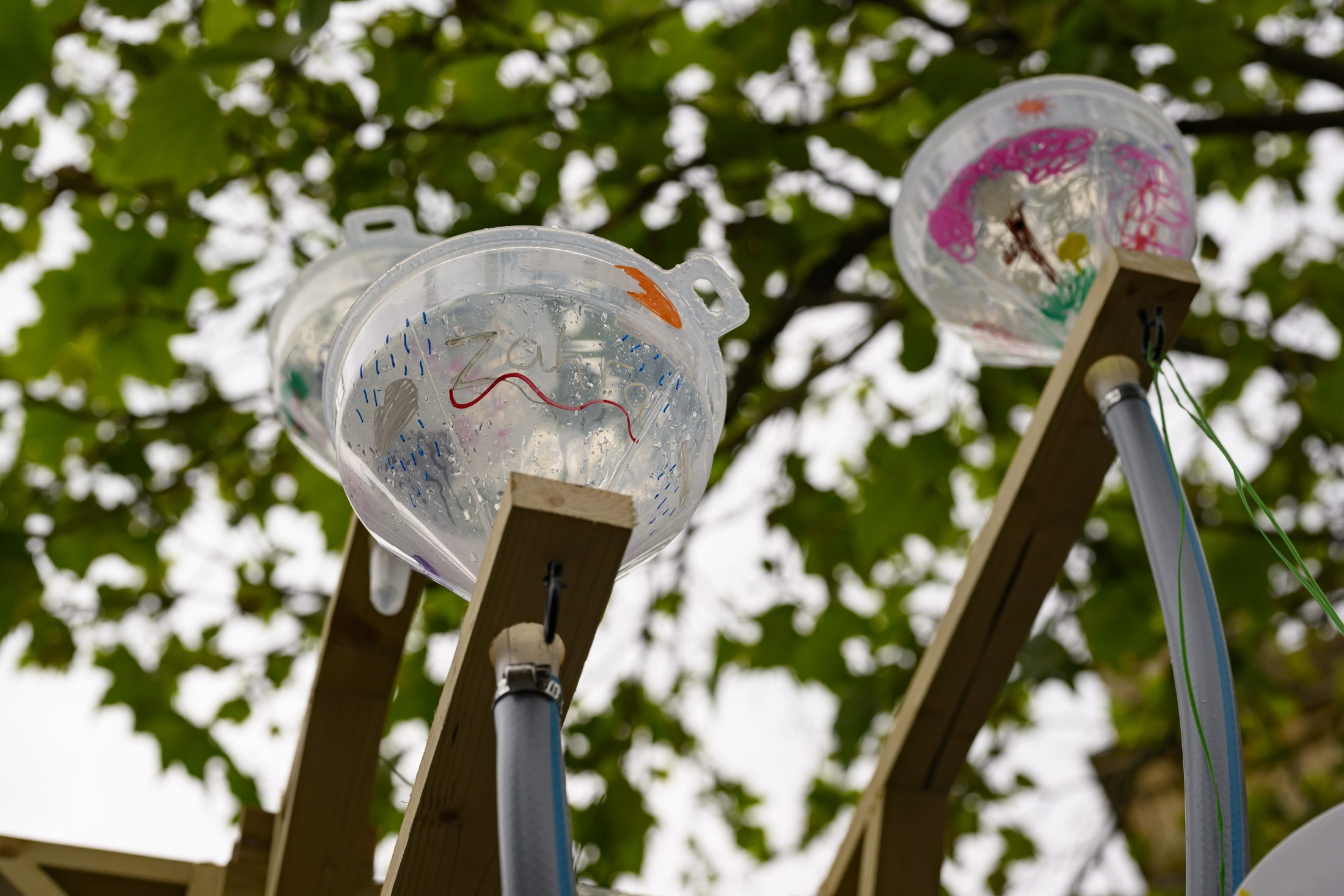 Close-up of clear plastic bowls decorated with colourful drawings, mounted on wooden beams outdoors, with tubes attached and green tree leaves visible in the blurred background.