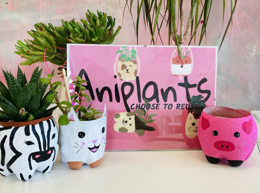 Three animal-themed plant pots (zebra, rabbit, pig) made from reused materials sit next to a pink Aniplants: Choose to Reuse sign, with green leafy plants in the background.