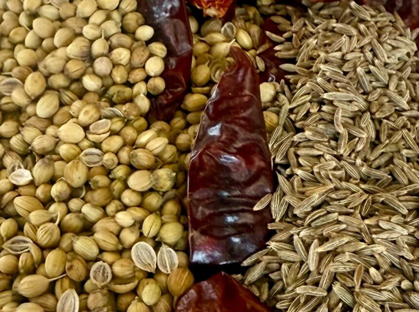 A close-up of whole dried coriander seeds, cumin seeds, and red chilli peppers arranged in groups on a white patterned plate.