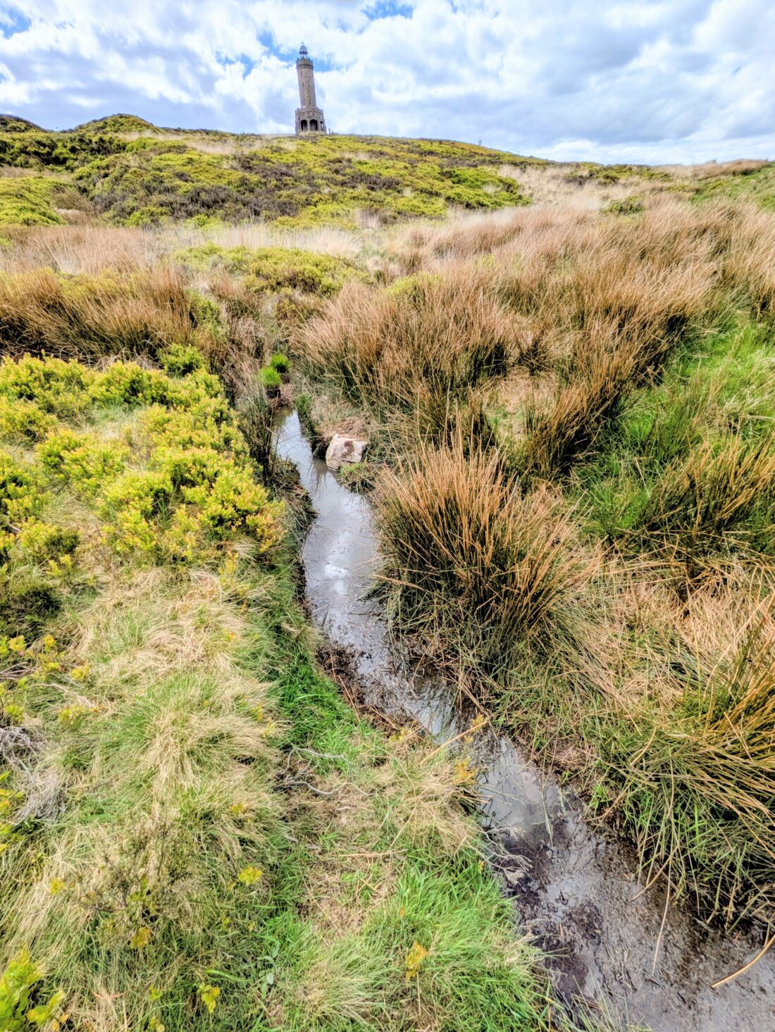 A small stream winds through grassy and mossy moorland towards a distant stone tower on a hilltop under a partly cloudy sky.