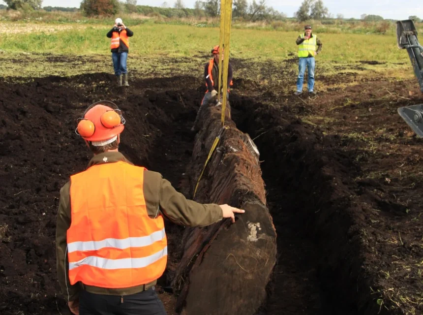 Workers in safety gear guide a large, ancient log being lifted by heavy machinery from a trench in a grassy field, whilst others observe and take photos in the background.