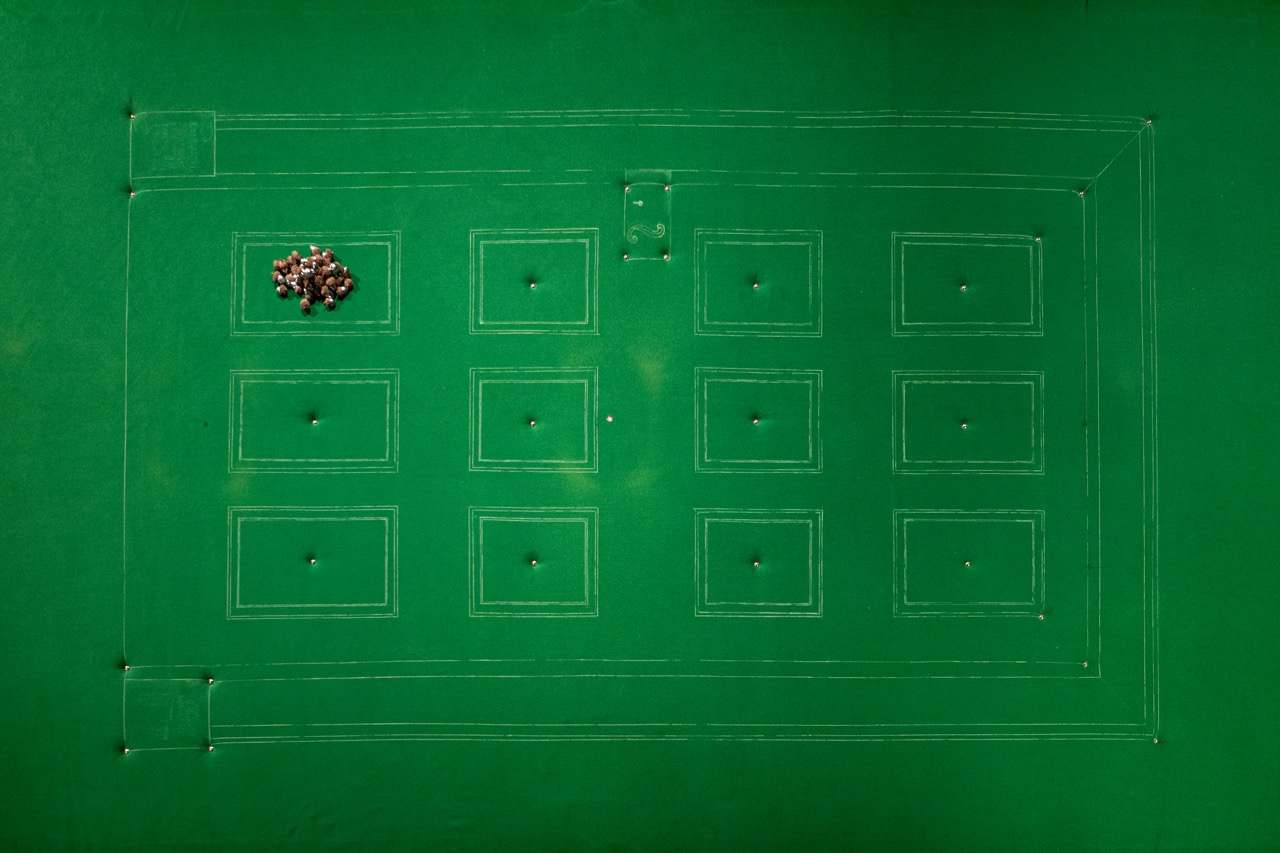 A green rectangular board with twelve outlined rectangles and small holes in the centre of each; a cluster of pebbles is placed in the upper left section.