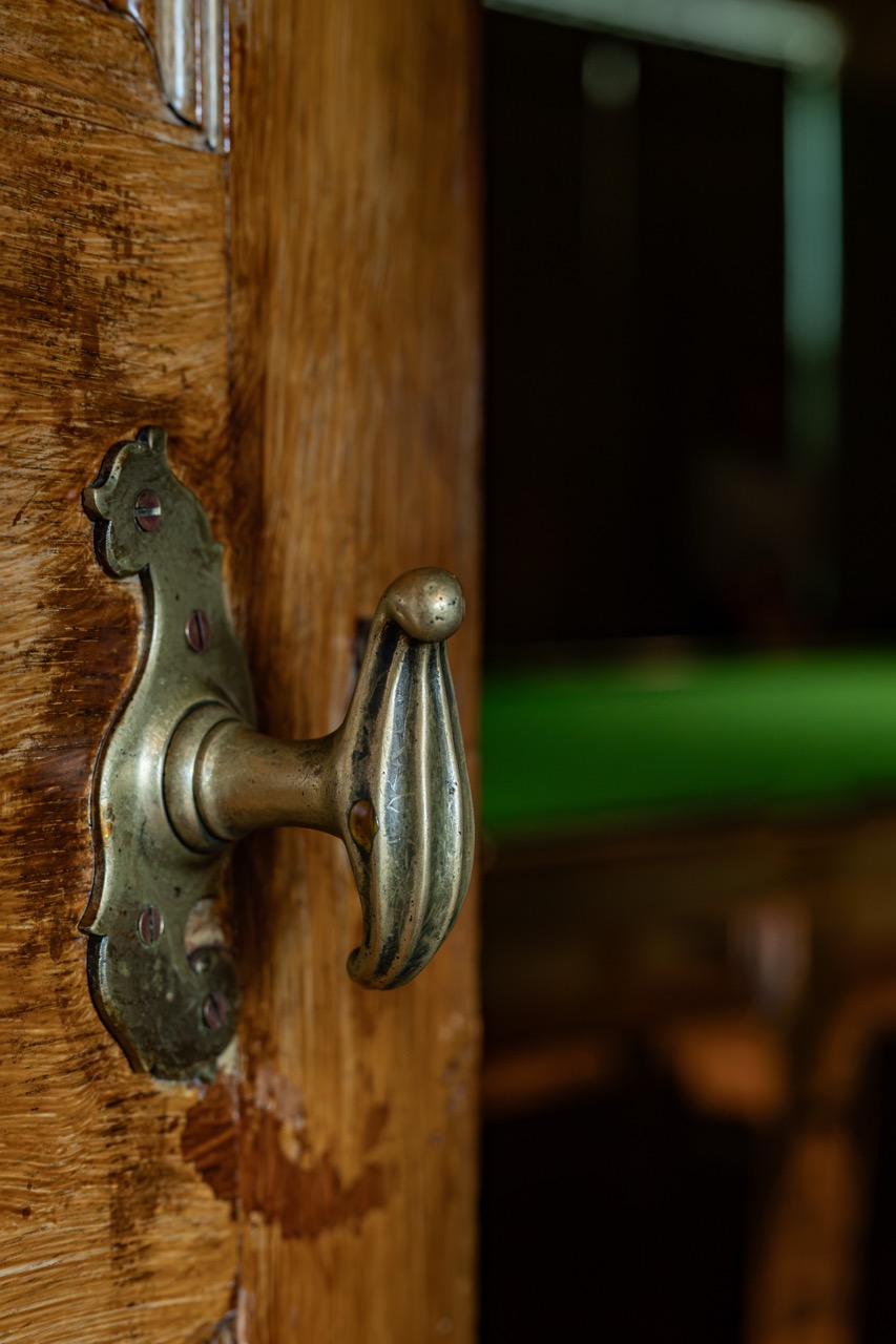 A close-up of an ornate brass door handle on a wooden door, partially open, with a blurred green surface visible in the background.