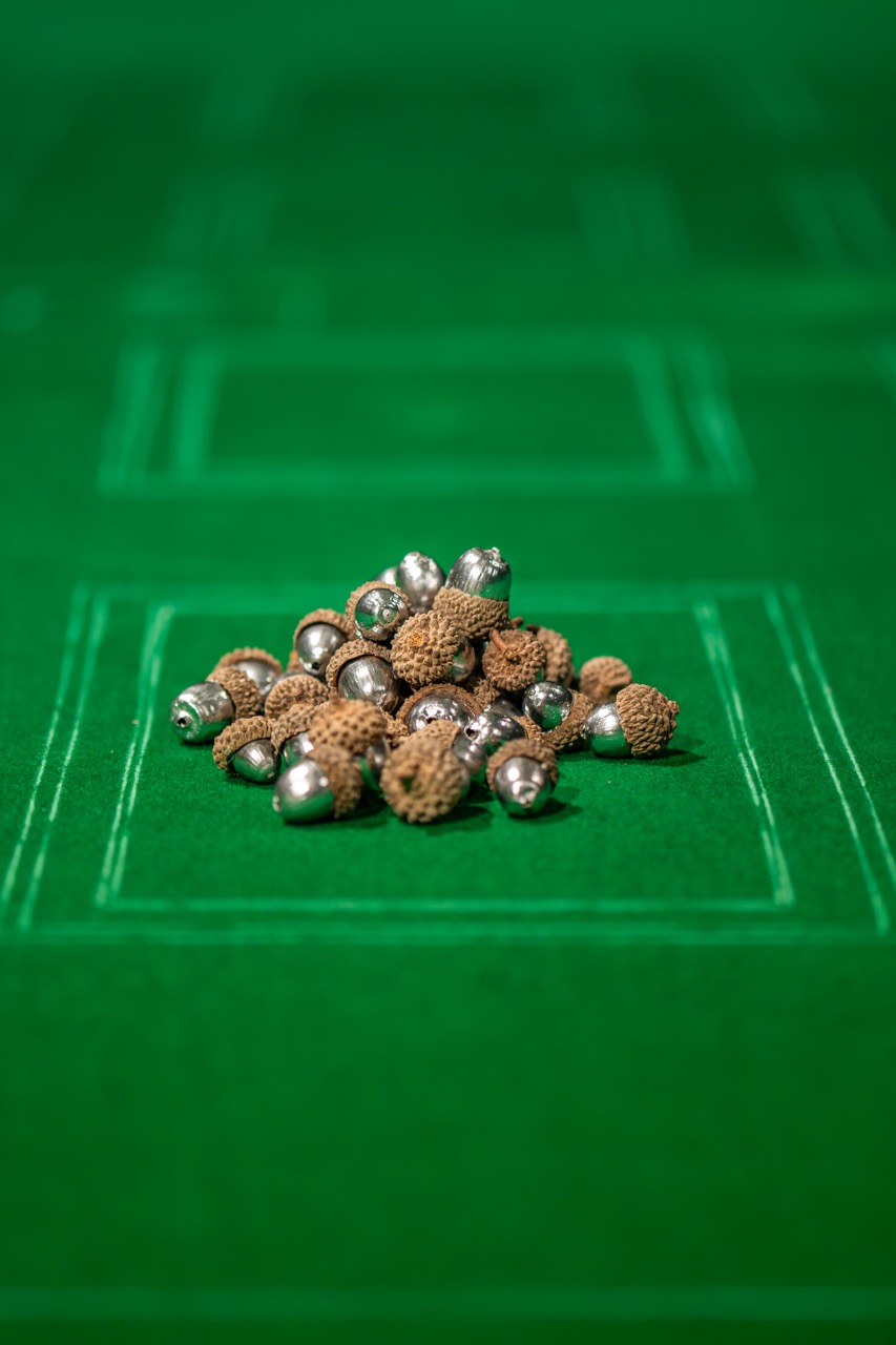 A small pile of acorns, some with silver caps, sits on a green baize surface with white lines drawn in rectangular shapes.